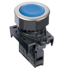 Push Button Switches (Flush)