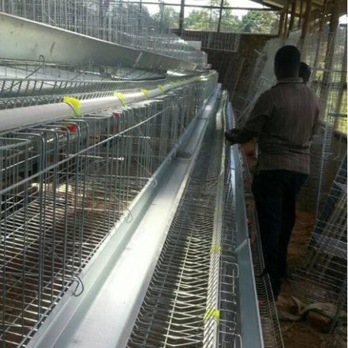 Steel A Type Chicken Layer Egg Cages For Poultry Shed Farm