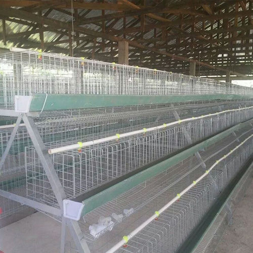 Automatic Chicken Cage Poultry System With Feeding And Drinking System