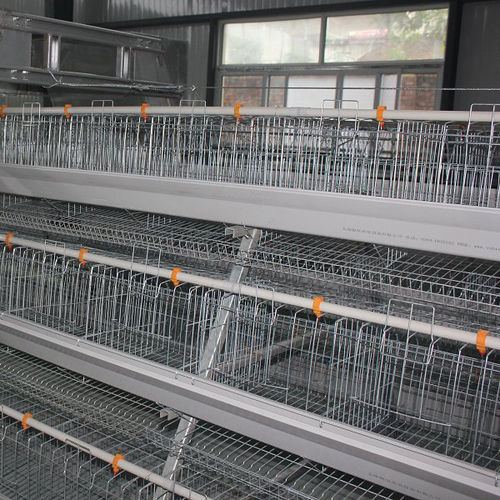 Design Layer Chicken Cages For Poultry Farm With Water Treatment System