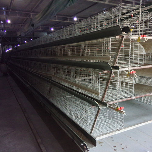 Galvanized Battery Poultry Cages And Floor