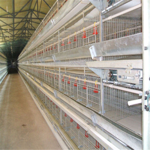 Galvanized Iron Wire Material Chicken Laying Cage