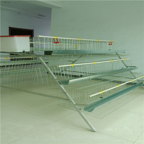 Plastic Poultry Transport Chicken Cage