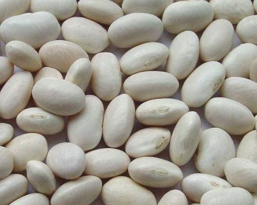 White Kidney Beans