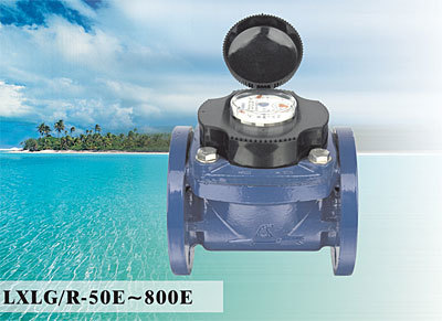 Woltman Detachable Water Meter