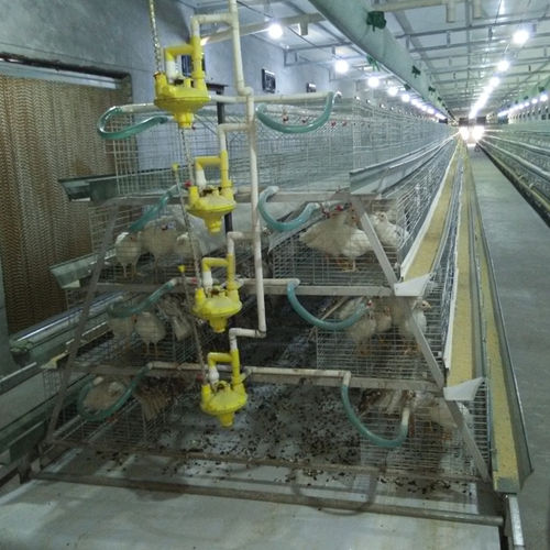 Chicken Wire Mesh Poultry Battery Cages