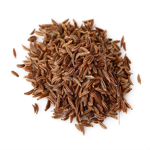 Caraway Oil - Extracted from Carum carvi Seeds, 2-8% Yield | Bi-Annual Herb, Aromatic Essential Oil