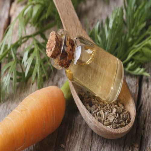 Carrot Seed Oil - Extracted from Daucus Carota Seeds, Sweet Earthy Aroma, Premium Quality Essential Oil