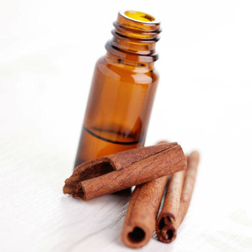 Cinnamon Bark Oil