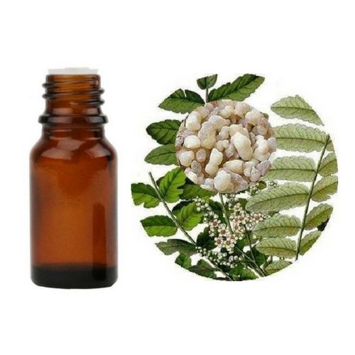 Boswellia Oil