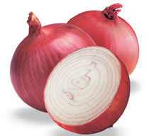 Fresh Onions