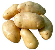 Fresh Potatoes