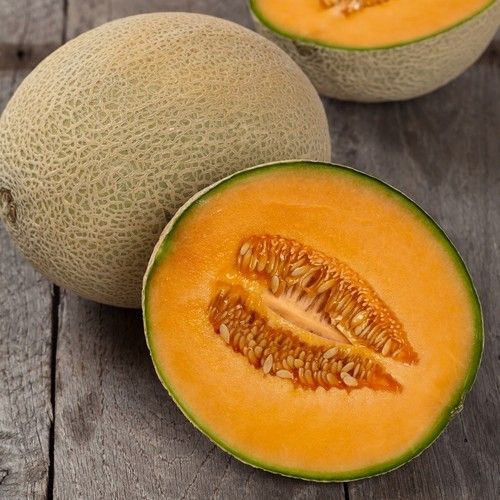 Musk Melon Seeds