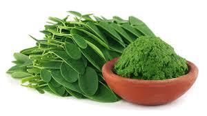 Moringa Leaf Powder