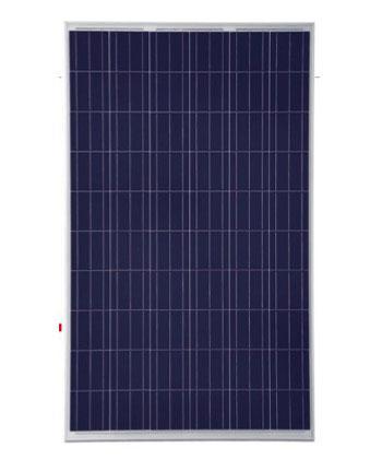 Poly Crystaline PV Modules