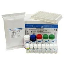 Elisa Kit Hormones Fertility Infection Neonatal Allergy