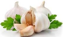 Fresh Garlic Ingredients: Glimepiride Ip	1MgMetformin Hydrochloride Ip	500Mg
