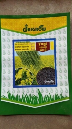 High Grade Yogi Mustard Seeds - Food Grade 100% Pure Black Mustard Oil Seed Gluten Free Low Sodium Natural Taste No Added Preservatives Health Beneficial