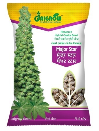 Major Star Castor Seeds Purity: 100%