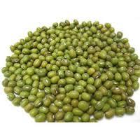 Moong Dal - Premium Quality Lentils | Rich Taste, Enriched Aroma, Long Shelf Life, Nicely Packed