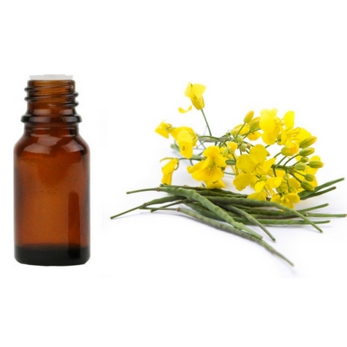 Pure Canola Oil - High Quality Edible Oil with Low Saturated Fat Content, Ideal for Cooking and Food Preparation