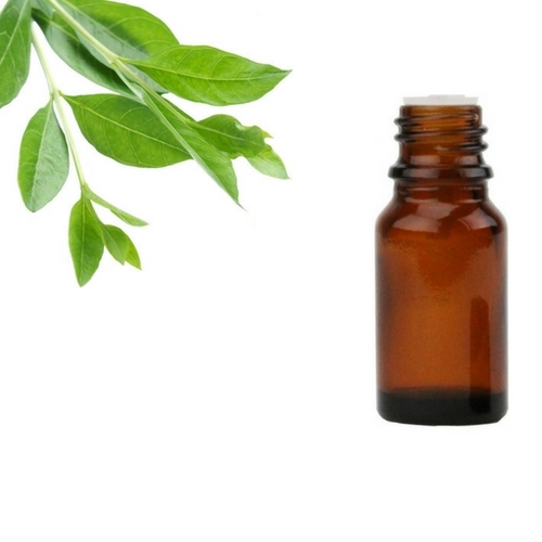 Pure Hina Oil Odour:: Characteristic Odour