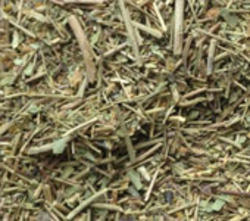 Green Senna Stems