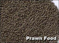 Prawn Feed