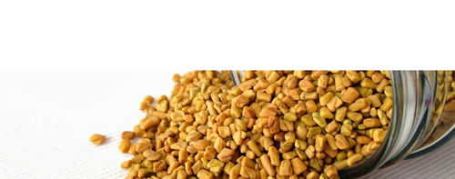 Fenugreek Seeds