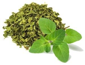 Oregano