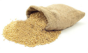 High Quality Sorghum