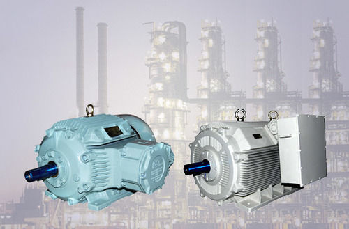 Low Voltage Motors