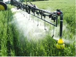 Agricultural Fungicides