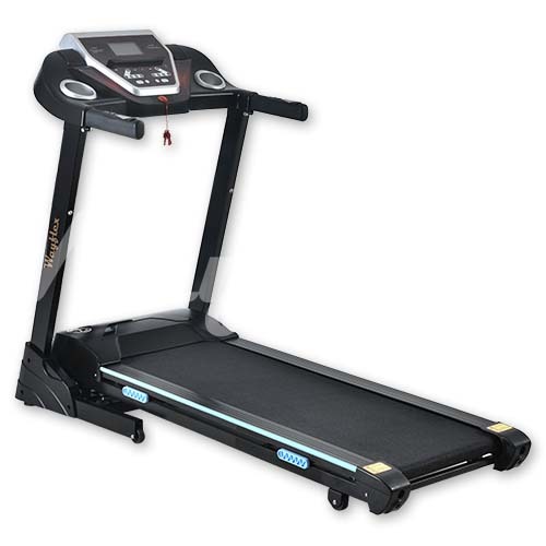 Treadmill (MT-421)
