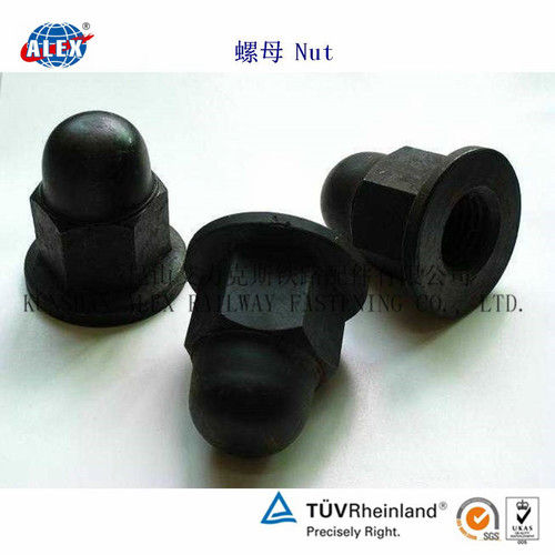 Steel Cap Nuts