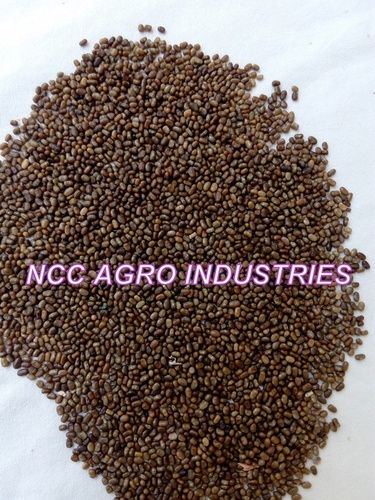 Brown Green Good Quality Natural Indigo Seeds