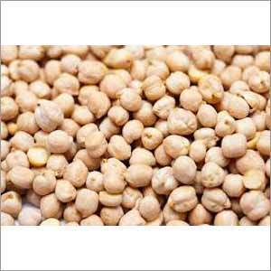 Dry Chickpeas