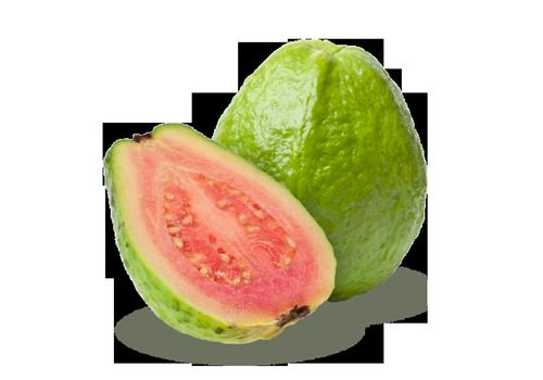 Guava