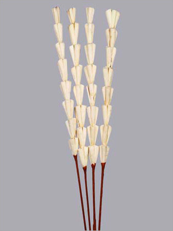 Artificial Sola Rajani Sticks