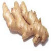 Fresh Ginger - Zingiber Officinale Rhizome | Fresh, Hygienic Processing, Free from Impurities