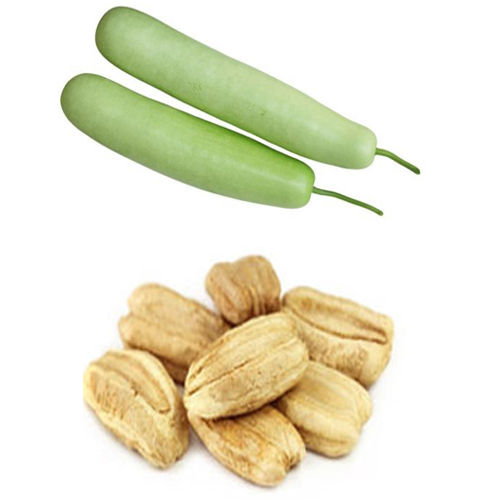 Hybrid Bottle Gourd Seeds