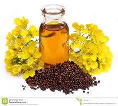 Kachi Ghani Oil (Mustard Oil)