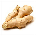 Spray Dried Ginger Powder