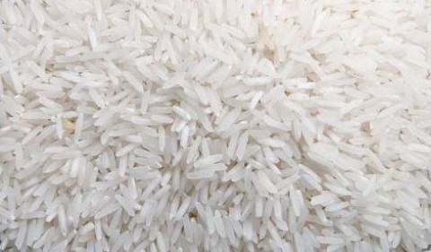 Fresh Rice