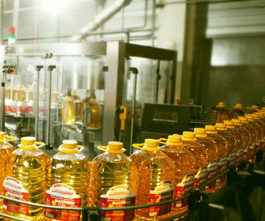 Sunflower Oil