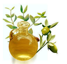 Jojoba Oil