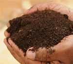 Organic Manure