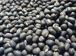 Urad (Black Mapte)