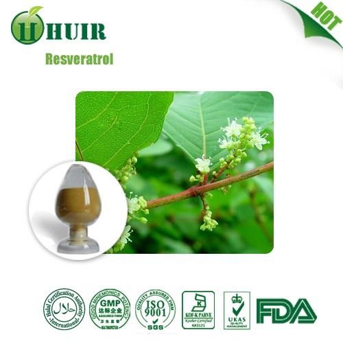 100% Nature Resveratrol Powder Extacted