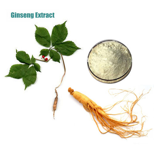 100% Water Soluble Panax Ginseng Root Extract Ginsenosides